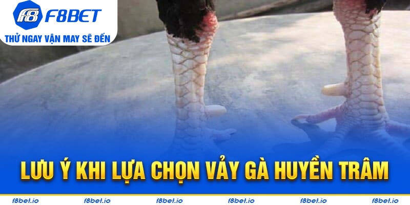 Những lưu ý cho các bạn khi tìm kiếm vảy gà huyền trâm